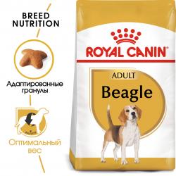 Royal Canin Beagle Adult (для собак породы бигль от 12 месяцев)