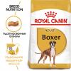 Royal Canin Boxer Adult (для породы боксер старше 15 месяцев)