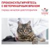 Royal Canin Calm CC 36 Feline (для взрослых кошек при стрессовых состояниях)