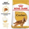 Royal Canin Cocker Adult (для кокер-спаниеля от 12 месяцев)