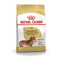 Royal Canin Dachshund Adult (для такс от 10 месяцев)