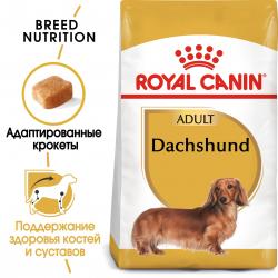 Royal Canin Dachshund Adult (для такс от 10 месяцев)
