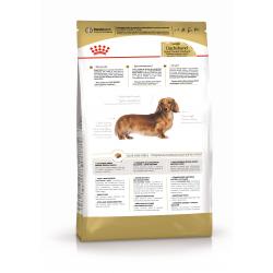 Royal Canin Dachshund Adult (для такс от 10 месяцев)