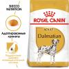 Royal Canin Dalmatian Adult (для далматинцев в возрасте от 15 месяцев)
