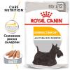 Royal Canin Dermacomfort (паштет для взрослых собак, склонных к раздражению кожи и зуду) 85г х 12шт Royal Canin Dermacomfort (паштет для взрослых собак, склонных к раздражению кожи и зуду) 85г х 12шт