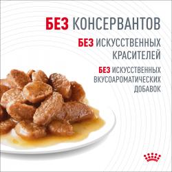 Royal Canin Digest Sensitive 85г х 28 шт (для улучшения пищеварения, в соусе) Royal Canin Digest Sensitive 85г х 28 шт (для улучшения пищеварения, в соусе)
