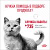 Royal Canin Digest Sensitive 85г х 28 шт (для улучшения пищеварения, в соусе) Royal Canin Digest Sensitive 85г х 28 шт (для улучшения пищеварения, в соусе)