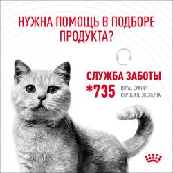 Royal Canin Digest Sensitive 85г х 28 шт (для улучшения пищеварения, в соусе) Royal Canin Digest Sensitive 85г х 28 шт (для улучшения пищеварения, в соусе)