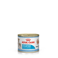 Royal Canin Starter Mother & Babydog Mousse (мусс для сук и щенков до 2 месяцев) Royal Canin Starter Mother & Babydog Mousse (мусс для сук и щенков до 2 месяцев)