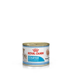 Royal Canin Starter Mother & Babydog Mousse (мусс для сук и щенков до 2 месяцев) Royal Canin Starter Mother & Babydog Mousse (мусс для сук и щенков до 2 месяцев)