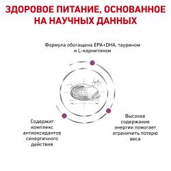 Royal Canin Early Cardiac Canin (для взрослых собак с питательными веществами) Royal Canin Early Cardiac Canin (для взрослых собак с питательными веществами)
