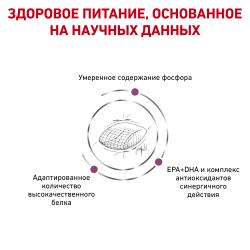 Royal Canin Early Renal (для взрослых собак при ранней стадии почечной недостаточности)