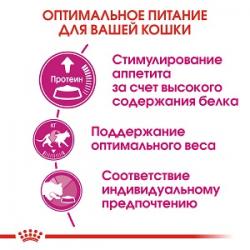 Royal Canin Exigent Protein Preference (для кошек, привередливых к СОСТАВУ продукта) Royal Canin Exigent Protein Preference (для кошек, привередливых к СОСТАВУ продукта)