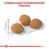 Royal Canin Exigent Protein Preference (для кошек, привередливых к СОСТАВУ продукта) Royal Canin Exigent Protein Preference (для кошек, привередливых к СОСТАВУ продукта)