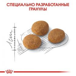 Royal Canin Exigent Aromatic Attraction (для кошек, привередливых к АРОМАТУ продукта)