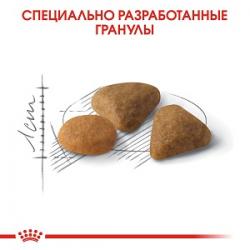 Royal Canin Exigent Savour Sensation  (для кошек, привередливых к ВКУСУ продукта)