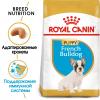Royal Canin French Bulldog Puppy (для щенков французского бульдога до 1 года) Royal Canin French Bulldog Puppy (для щенков французского бульдога до 1 года)