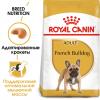 Royal Canin French Bulldog Adult (для Французского бульдога от 1 года)