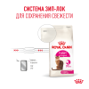 Royal Canin Fussy Корм (сухой для привередливых кошек от 1 года) Royal Canin Fussy Корм (сухой для привередливых кошек от 1 года)