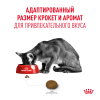 Royal Canin Fussy Корм (сухой для привередливых кошек от 1 года) Royal Canin Fussy Корм (сухой для привередливых кошек от 1 года)