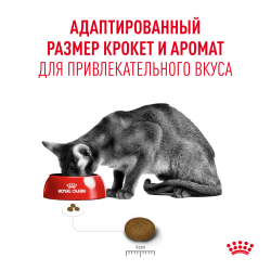 Royal Canin Fussy Корм (сухой для привередливых кошек от 1 года) Royal Canin Fussy Корм (сухой для привередливых кошек от 1 года)