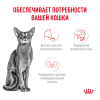 Royal Canin Fussy Корм (сухой для привередливых кошек от 1 года) Royal Canin Fussy Корм (сухой для привередливых кошек от 1 года)