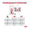 Royal Canin Fussy Корм (сухой для привередливых кошек от 1 года) Royal Canin Fussy Корм (сухой для привередливых кошек от 1 года)