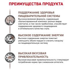 Royal Canin Gastro Intestinal 85г х 12шт (рекомендуемый при острых расстройствах пищеварения)  Royal Canin Gastro Intestinal 85г х 12шт (рекомендуемый при острых расстройствах пищеварения)