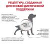 Royal Canin Gastro Intestinal Low Fat (с ограниченным содержанием жиров для собак при нарушении пищеварения) Royal Canin Gastro Intestinal Low Fat (с ограниченным содержанием жиров для собак при нарушении пищеварения)