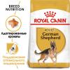 Royal Canin German Shepherd Adult (для Немецких овчарок старше 15 месяцев)