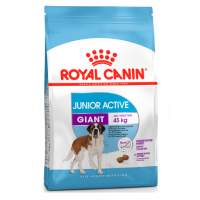 Royal Canin Giant Junior Active (для активных щенков крупных пород с 8 до 18/24 месяцев) Royal Canin Giant Junior Active (для активных щенков крупных пород с 8 до 18/24 месяцев)