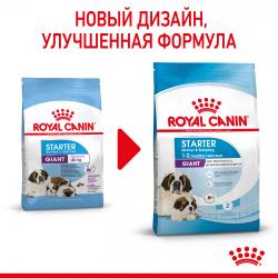 Royal Canin Giant Starter (для щенков очень крупных пород до 2-х месяцев, беременных и кормящих сук) Royal Canin Giant Starter (для щенков очень крупных пород до 2-х месяцев, беременных и кормящих сук)