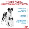 Royal Canin Giant Starter (для щенков очень крупных пород до 2-х месяцев, беременных и кормящих сук) Royal Canin Giant Starter (для щенков очень крупных пород до 2-х месяцев, беременных и кормящих сук)