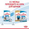 Royal Canin Giant Starter (для щенков очень крупных пород до 2-х месяцев, беременных и кормящих сук) Royal Canin Giant Starter (для щенков очень крупных пород до 2-х месяцев, беременных и кормящих сук)