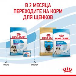 Royal Canin Giant Starter (для щенков очень крупных пород до 2-х месяцев, беременных и кормящих сук) Royal Canin Giant Starter (для щенков очень крупных пород до 2-х месяцев, беременных и кормящих сук)
