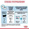 Royal Canin Giant Starter (для щенков очень крупных пород до 2-х месяцев, беременных и кормящих сук) Royal Canin Giant Starter (для щенков очень крупных пород до 2-х месяцев, беременных и кормящих сук)