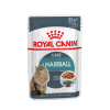 Royal Canin Hairball Care 85г х 24шт (в соусе, против образования волосяных комочков в желудочно-кишечном тракте) Royal Canin Hairball Care 85г х 24шт (в соусе, против образования волосяных комочков в желудочно-кишечном тракте)