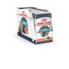 Royal Canin Hairball Care 85г х 24шт (в соусе, против образования волосяных комочков в желудочно-кишечном тракте) Royal Canin Hairball Care 85г х 24шт (в соусе, против образования волосяных комочков в желудочно-кишечном тракте)
