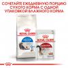 Royal Canin Indoor Long Hair (для длинношерстных кошек от 1 до 7 лет, живущих в помещении)