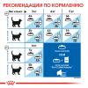 Royal Canin Indoor Long Hair (для длинношерстных кошек от 1 до 7 лет, живущих в помещении)