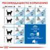 Royal Canin Indoor Sterilised 7+ 85г х 24шт (в соусе для пожилых стерилизованных кошек)