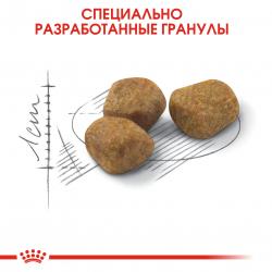 Royal Canin Indoor 7+  (для пожилых кошек от 7 лет, живущих в помещении)