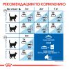 Royal Canin Indoor 7+  (для пожилых кошек от 7 лет, живущих в помещении)