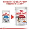 Royal Canin Indoor Sterilized 85г х 24шт (кусочки в желе для кошек от 1 года до 7 лет, постоянно живущих в помещении)