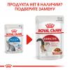 Royal Canin Indoor Sterilized 85г х 24шт (паштет для кошек от 1 года до 7 лет, постоянно живущих в помещении)