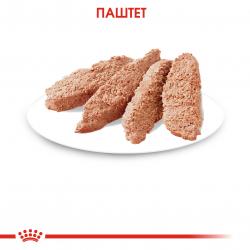 Royal Canin Instinctive 85г х 12шт (паштет для кошек старше 1 года)