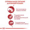 Royal Canin Instinctive 85г х 12шт (паштет для кошек старше 1 года)