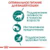 Royal Canin Instinctive +7  85г х 12шт (соус для кошек старше 7 лет)