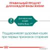 Royal Canin Instinctive +7  85г х 12шт (соус для кошек старше 7 лет)