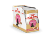 Royal Canin Kitten Maine Coon (для котят породы Мэйн Кун в возрасте до 15 месяцев) 85г х 12 шт Royal Canin Kitten Maine Coon (для котят породы Мэйн Кун в возрасте до 15 месяцев) 85г х 12 шт